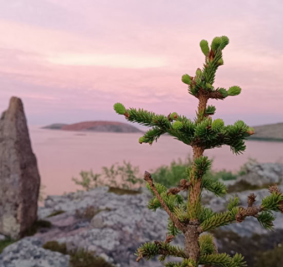 Архипелаг Кузова и Кемские шхеры. По Белому морю на морских каяках