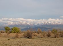 Фотографии 2018 года