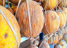 Узбекистан, Узбекистан. Восточная сказка для всей семьи