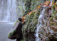 Япония, Осень у подножия Фудзиямы