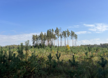 Подмосковье, К НЛО через Голубое озеро