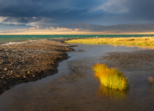 Монголия, Автотур «Неизведанная Монголия»