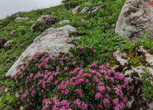 Кавказ, Легендарная 30-ка СКОРОХОД (через горы к морю)