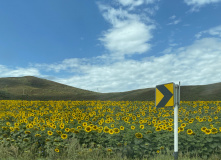 Казахстан, Казахстанский Алтай: мультитур по рекам Берель и Бахтарма