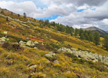 Казахстан, Казахстанский Алтай: мультитур по рекам Берель и Бахтарма