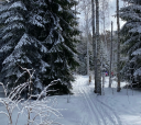 Северо-Запад, По следам Лыжной Стрелы