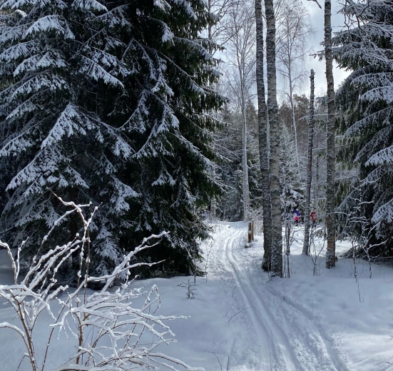 По следам Лыжной Стрелы