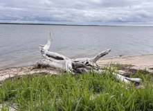 Русский Север, Летний берег Белого моря: Онежское Поморье