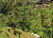 Индонезия, Большой тур по Индонезии: комфорт-тур