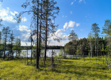 Карелия, Заповедная Карелия: тропами Калевалы (разведка)