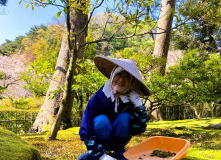 Япония, Японская кругосветка