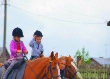 Северо-Запад, Путешествие в мир лошадей (для детей и родителей)