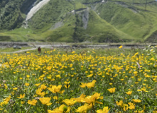 Грузия, Казбеги налегке: горные походы с базой в комфорте