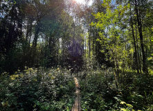 Подмосковье, Лесной лагерь с детьми на Валдае (Новгородская область)