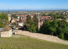 Франция, Винная дорога Эльзаса (разведка)