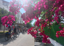 Турция, Велопоход по Турции. Приключения продолжаются!