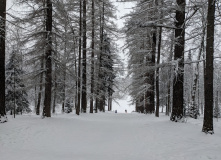 Подмосковье, Однодневный поход «English club в усадьбе Середниково»