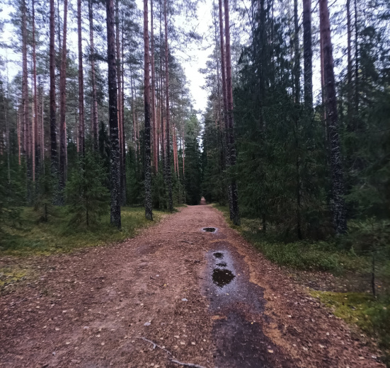 Карельский перешеек, В поисках исчезнувшей Леовиллы с детьми