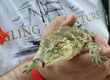 Тунис, Тунис: сквозь пески времени (разведка)