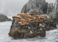 Сахалин, Сахалино-Камчатский вояж: по следам Крузенштерна (активный комфорт-тур)