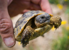 Турция, Велопоход по Турции. Приключения продолжаются!
