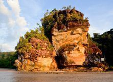 Национальный парк Бако. Остров Борнео