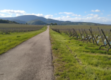 Франция, Винная дорога Эльзаса (разведка)