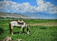 Киргизия, Релакс-тур Иссык-Куль