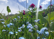 Узбекистан, Лето, весна, зима и снова лето: пеший поход по весенним горам Западного Тянь-Шаня
