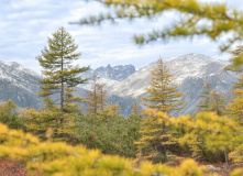 Дальний Восток, Мультитур по Дальнему Востоку - из Якутска в Магадан, Сплав по Индигирке