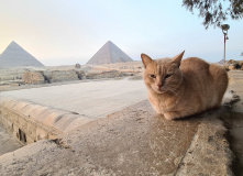 Египет, Захватывающее путешествие из пустыни к морю (Каир + Александрия) (разведка)