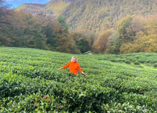 Кавказ, Семейный лагерь в Красной поляне