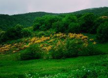 Кавказ, Красоты Северной Осетии