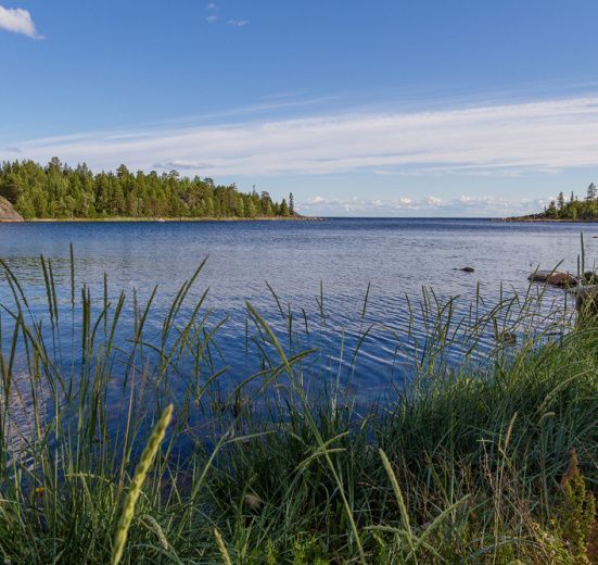 Белое море на морских каяках: Терский берег