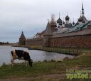Русский Север, Соловецкие Острова в Белом Море (экскурсии + поход)