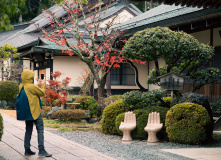 Япония, К пальмам и горячим пескам (разведка)