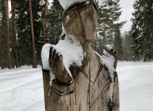 Подмосковье, Пеший поход «Легенды и тайны Вербилковского фарфора»