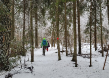 Подмосковье, Поход к карьеру Сима и хвойным лесам