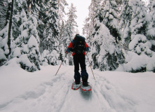 Северо-Запад, Однодневная прогулка на снегоступах