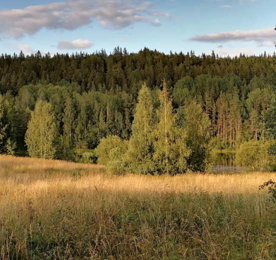 Крыша Ладоги