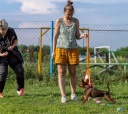 Подмосковье, Дог лагерь Лапка путешествий