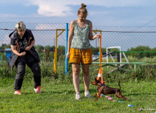 Подмосковье, Дог лагерь Лапка путешествий