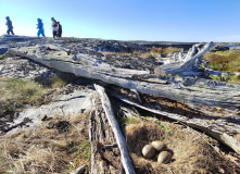 Карелия, Неизвестная Карелия: по рекам Мурашева и Гридина в Белое море