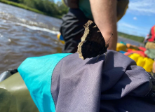 Русский Север, По реке Онега на пакрафтах (разведка)