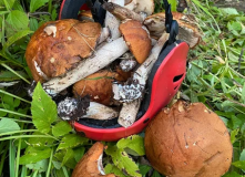 Русский Север, По реке Онега на пакрафтах (разведка)