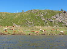 Урал, Байдарки на Урале : майский сплав по реке Сакмара