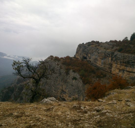 Горный Лагерь в Крыму: Дикий Мёд Бельбекской долины