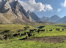 Киргизия, В стране эдельвейсов: пеший поход по Центральному Тянь-Шаню (Терскей-Алатау)
