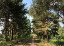 Подмосковье, ВелоТТТур по Тверской области (Тверь – Тверца – Тьма)