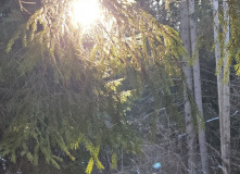 Подмосковье, Кругами к Зосимовой пустыни (с элементами разведки)